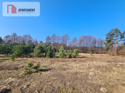 Działka przy brzegu rzeki Brdy - Męcikał  -
Pomorskie Zdjęcie nr 7