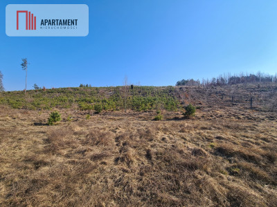 Działka przy brzegu rzeki Brdy - Męcikał  -
Pomorskie Zdjęcie nr 8