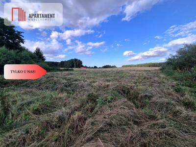 Działka budowlana w Boroszewie - Boroszewo  -
Pomorskie Zdjęcie nr 5