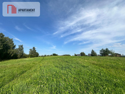 Wielki Podleś  działka 2212 m 150 m od jeziora - Wielki Podleś  -
Pomorskie Zdjęcie nr 2