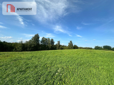 Wielki Podleś  działka 2212 m 150 m od jeziora - Wielki Podleś  -
Pomorskie Zdjęcie nr 3