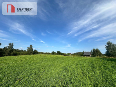 Wielki Podleś  działka 2212 m 150 m od jeziora - Wielki Podleś  -
Pomorskie Zdjęcie nr 4