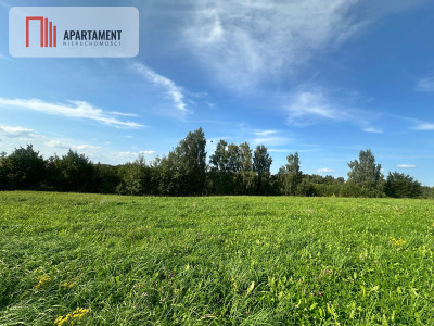 Wielki Podleś  działka 2212 m 150 m od jeziora - Wielki Podleś  -
Pomorskie Zdjęcie nr 5