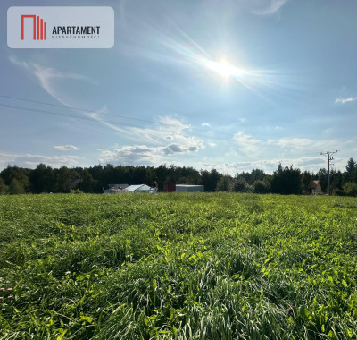 Wielki Podleś  działka 2212 m 150 m od jeziora - Wielki Podleś  -
Pomorskie Zdjęcie nr 6