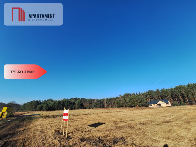 Działka w okazyjnej cenie- Jaracz - Jaracz  -
Wielkopolskie Zdjęcie nr 6