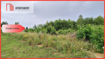 Działka budowlana pod lasem- Dolnik - powiat złotowski  -
Wielkopolskie Zdjęcie nr 2