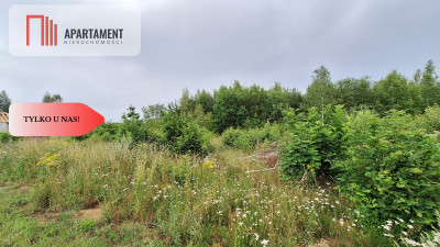 Działka budowlana pod lasem- Dolnik - powiat złotowski  -
Wielkopolskie Zdjęcie nr 4