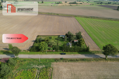 Ostatnia działka budowlana w Nowym Gronowie - Nowe Gronowo  -
Pomorskie Zdjęcie nr 2