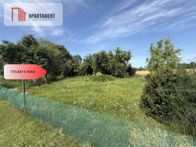 Ostatnia działka budowlana w Nowym Gronowie - Nowe Gronowo  -
Pomorskie Zdjęcie nr 4