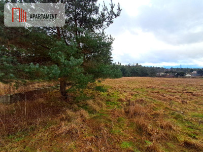 Super działka przy lesie w Drzewcach - powiat bydgoski  -
Kujawsko-Pomorskie Zdjęcie nr 6