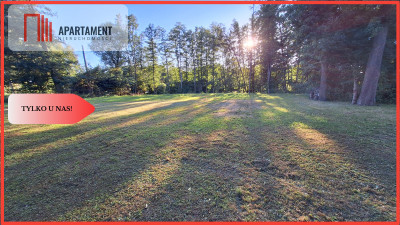 Atrakcyjna działka do prowadzenia działalności - Piła  -
Wielkopolskie Zdjęcie nr 2