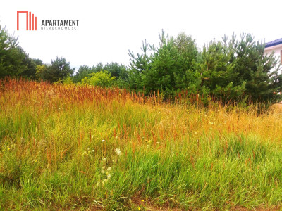 Atrakcyjnie położona działka w Łochowie - Łochowo  -
Kujawsko-Pomorskie Zdjęcie nr 2