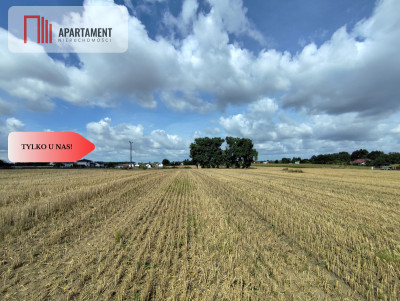 Działka z warunkami zabudowy blisko Więcborka - powiat sępoleński  -
Kujawsko-Pomorskie Zdjęcie nr 2