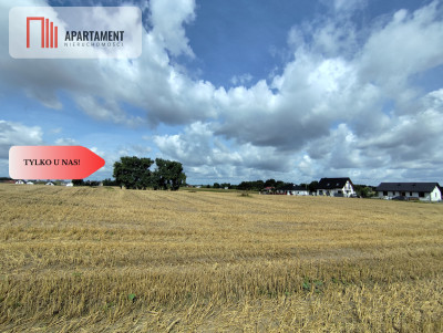 Działka z warunkami zabudowy blisko Więcborka - powiat sępoleński  -
Kujawsko-Pomorskie Zdjęcie nr 3