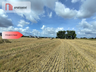 Działka z warunkami zabudowy blisko Więcborka - powiat sępoleński  -
Kujawsko-Pomorskie Zdjęcie nr 4