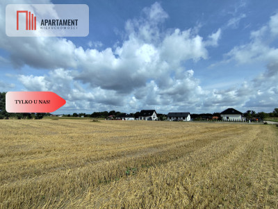 Działka z warunkami zabudowy blisko Więcborka - powiat sępoleński  -
Kujawsko-Pomorskie Zdjęcie nr 6