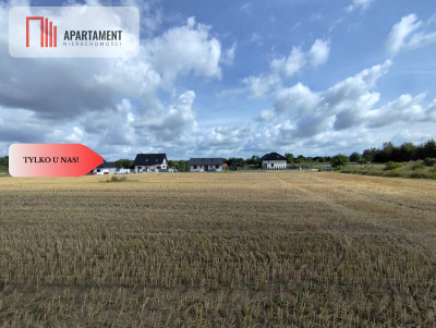 Działka z warunkami zabudowy blisko Więcborka - powiat sępoleński  -
Kujawsko-Pomorskie Zdjęcie nr 7