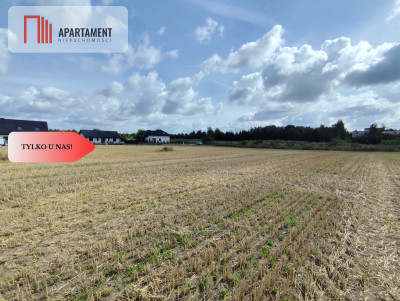 Działka z warunkami zabudowy blisko Więcborka - powiat sępoleński  -
Kujawsko-Pomorskie Zdjęcie nr 8