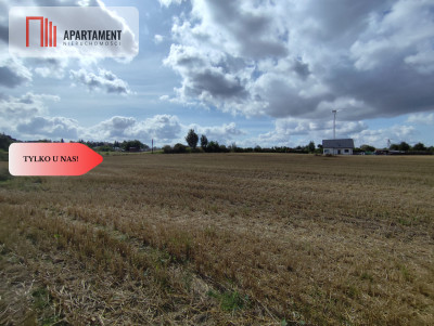 Działka z warunkami zabudowy blisko Więcborka - powiat sępoleński  -
Kujawsko-Pomorskie Zdjęcie nr 9