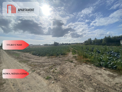 Atrakcyjne działki na obrzeżach Nakła nad Notecią - Nakło Nad Notecią  -
Kujawsko-Pomorskie Zdjęcie nr 5
