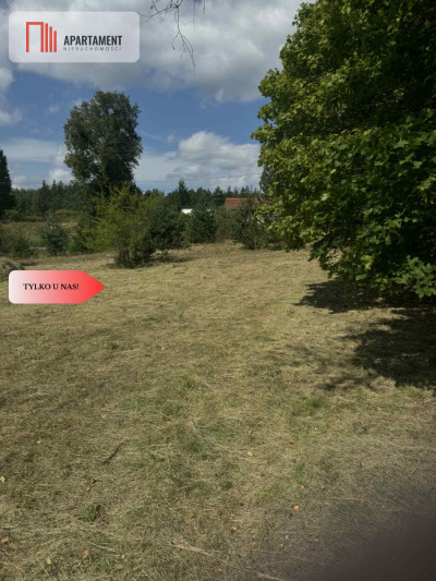 Działka budowlana przy lesie Ocypel 1 km do jezior - Ocypel  -
Pomorskie Zdjęcie nr 7