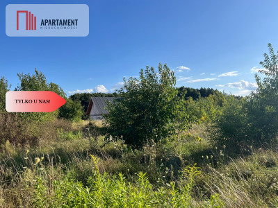 Działka budowlana w Lisim Ogonie - Lisi Ogon  -
Kujawsko-Pomorskie Zdjęcie nr 7