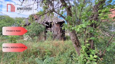 Przepiękne siedlisko wiele możliwości - Słonów  -
Lubuskie Zdjęcie nr 14