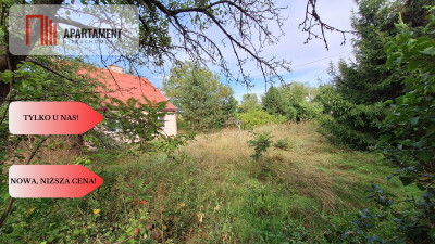 Przepiękne siedlisko wiele możliwości - Słonów  -
Lubuskie Zdjęcie nr 3