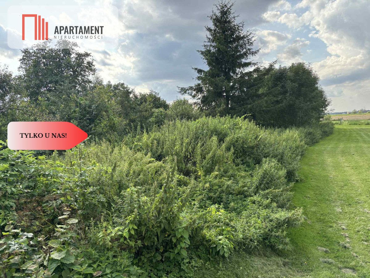 Działka budowlana w spokojnej okolicy - Oleśno  -
Warmińsko-Mazurskie Zdjęcie nr 1