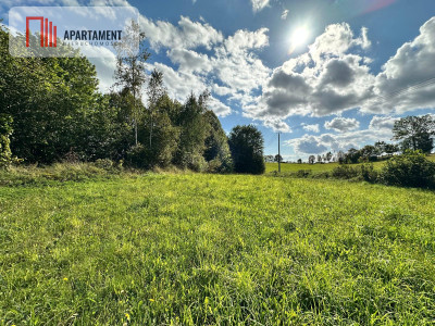 Unikalna działka 376 ha z własnym jeziorem - Głodowo  -
Pomorskie Zdjęcie nr 10