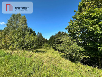 Unikalna działka 376 ha z własnym jeziorem - Głodowo  -
Pomorskie Zdjęcie nr 11