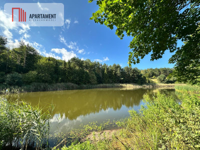 Unikalna działka 376 ha z własnym jeziorem - Głodowo  -
Pomorskie Zdjęcie nr 2