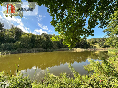 Unikalna działka 376 ha z własnym jeziorem - Głodowo  -
Pomorskie Zdjęcie nr 3