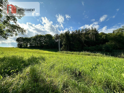 Unikalna działka 376 ha z własnym jeziorem - Głodowo  -
Pomorskie Zdjęcie nr 8