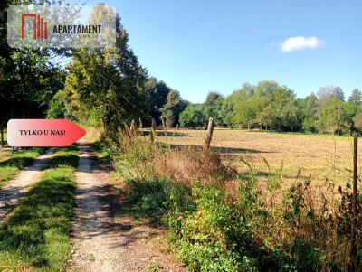 Działki budowlane w cichej zielonej okolicy  - Garwół  -
Dolnośląskie Zdjęcie nr 4