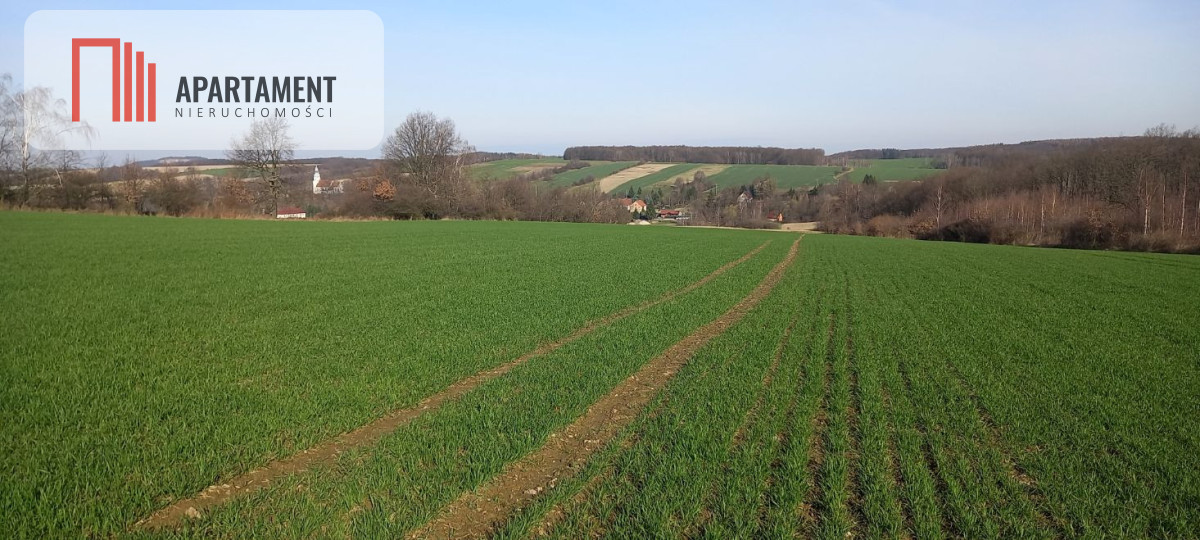 Działka pod inwestycję RolnaCicha okolica - Pomocne  -
Dolnośląskie Zdjęcie nr 1