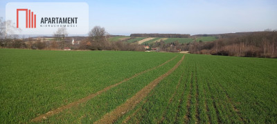 Działka pod inwestycję RolnaCicha okolica - Pomocne  - Dolnośląskie