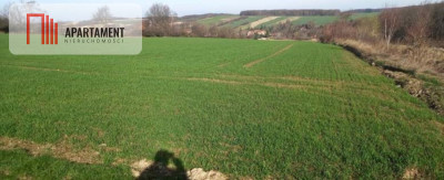 Działka pod inwestycję RolnaCicha okolica - Pomocne  -
Dolnośląskie Zdjęcie nr 2