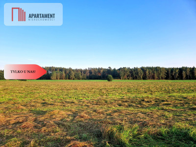 Ustronna działka - Twoja prywatna przestrzeń - Kęsza  -
Pomorskie Zdjęcie nr 5