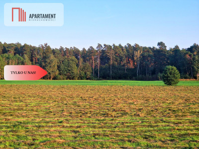 Ustronna działka - Twoja prywatna przestrzeń - Kęsza  -
Pomorskie Zdjęcie nr 7