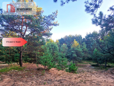 Tylko u nas Działka rolna z pięknym zadrzewieniem - Będźmierowice  -
Pomorskie Zdjęcie nr 12