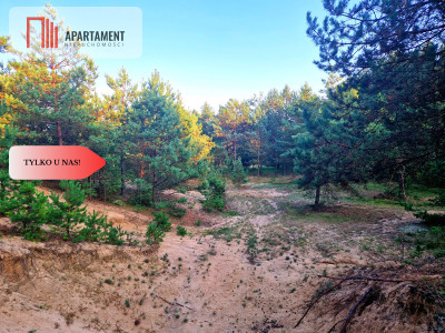 Tylko u nas Działka rolna z pięknym zadrzewieniem - Będźmierowice  -
Pomorskie Zdjęcie nr 2