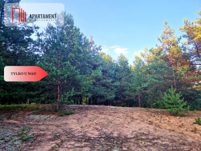 Tylko u nas Działka rolna z pięknym zadrzewieniem - Będźmierowice  -
Pomorskie Zdjęcie nr 3