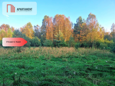 Tylko u nas Działka rolna z pięknym zadrzewieniem - Będźmierowice  -
Pomorskie Zdjęcie nr 6