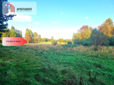 Tylko u nas Działka rolna z pięknym zadrzewieniem - Będźmierowice  -
Pomorskie Zdjęcie nr 7