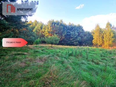 Tylko u nas Działka rolna z pięknym zadrzewieniem - Będźmierowice  -
Pomorskie Zdjęcie nr 8