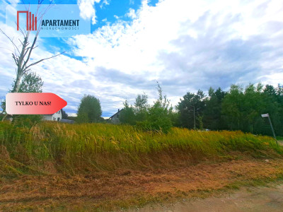 Działka 10 armpzpmediablisko lasu - Miękinia  -
Dolnośląskie Zdjęcie nr 11