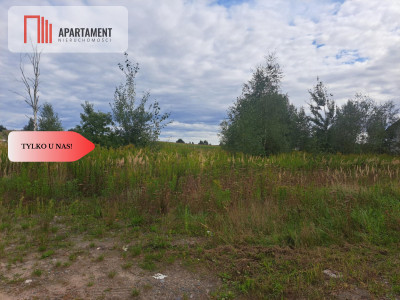 Działka 10 armpzpmediablisko lasu - Miękinia  -
Dolnośląskie Zdjęcie nr 9