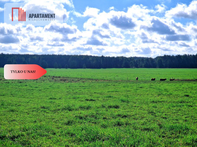 Tylko u nas Siedlisko ze starymi zabudowaniami - Kęsza  -
Pomorskie Zdjęcie nr 14