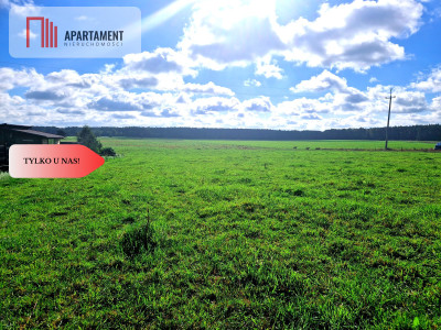 Tylko u nas Siedlisko ze starymi zabudowaniami - Kęsza  -
Pomorskie Zdjęcie nr 7